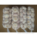 Different Package of Jinxiang Normal White Garlic